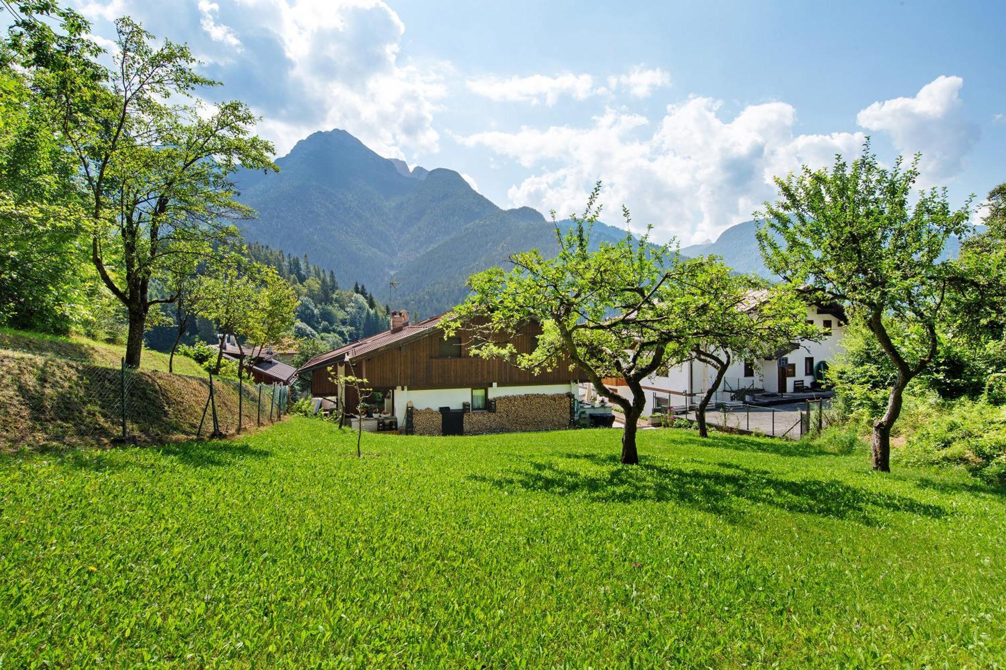 Monolocale Monti Pallidi Domegge di Cadore Zewnętrze zdjęcie